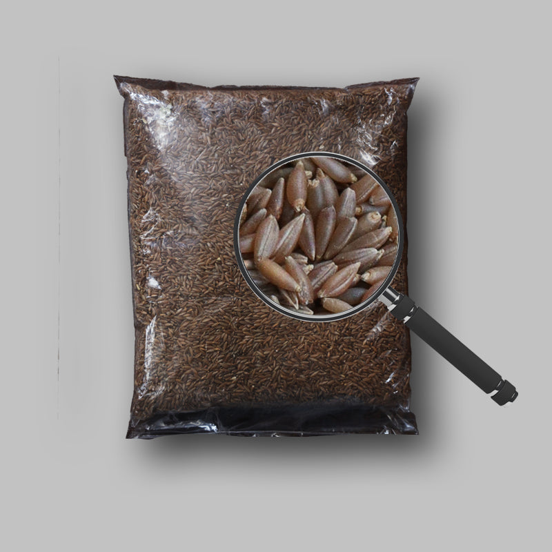 Moongil Rice – Bamboo Rice for Joints & Bone Health