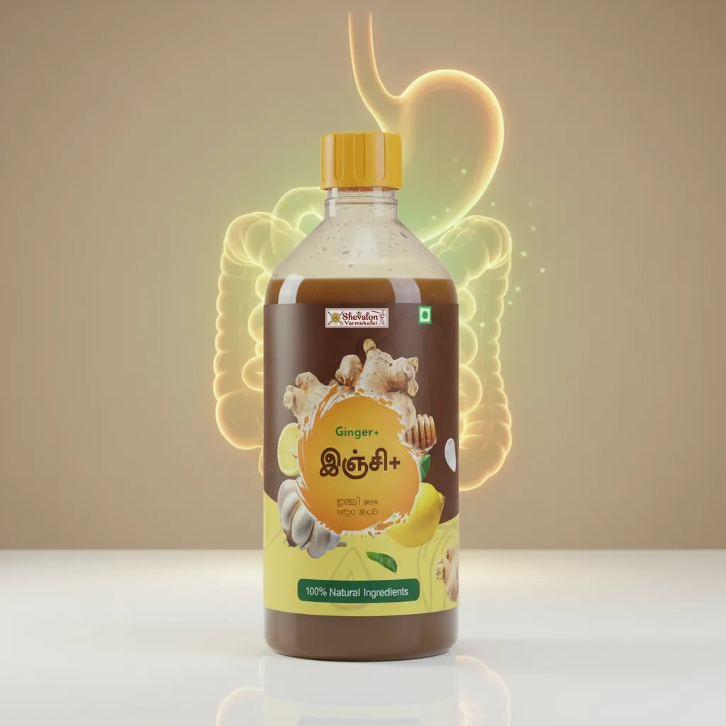 Ginger Plus - Natural Detox & Digestive Support