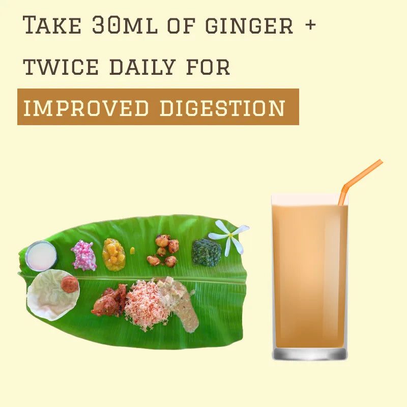 Ginger Plus - Natural Detox & Digestive Support