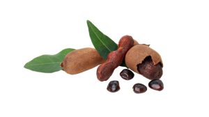 pngripe-tamarind-with-leaves-isolated-white-background_185193-164262